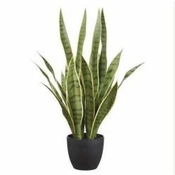 Best deal ⭐ Florals & Picks Allstate Floral 24" Faux Sansevieria In Pot 😉