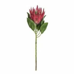 Hot Sale 🎉 Florals & Picks Allstate Floral King Protea Stem ❤️