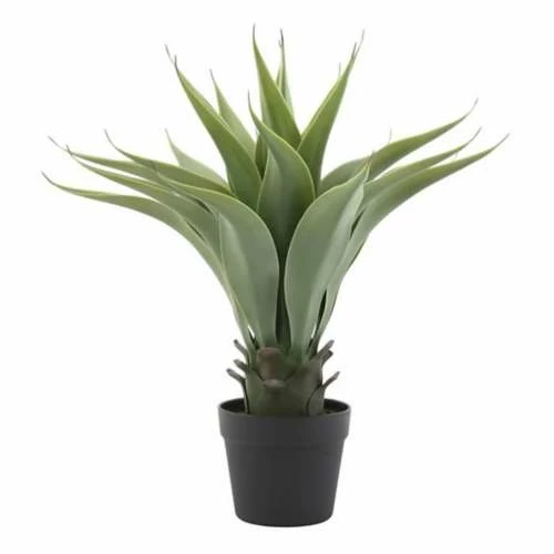 Flash Sale ๐ Florals & Picks Creative Co-Op Faux Agave Plant In Pot ๐ฅฐ