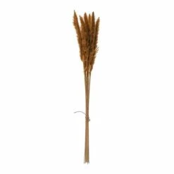 Best Sale 😍 Creative Co-Op Florals & Picks Craetive Co-Op Dried Natural Pampas Grass Bunch 🥰