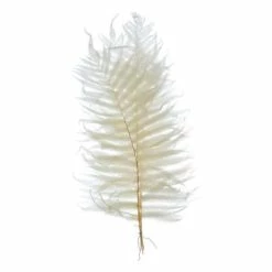 Brand new ⭐ Florals & Picks Creative Co-Op Dried Natural Fern Leaf In Bag 😍