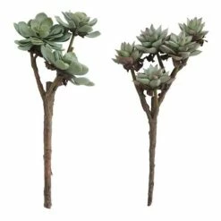New ⌛ Florals & Picks Creative Co-Op Assorted Faux Succulent Branch 🎉