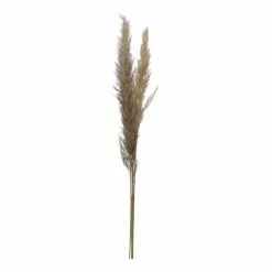 Cheapest 😍 Florals & Picks Creative Co-Op Dried Natural Pampas Grass Bunch 🔔