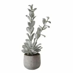Best reviews of 😉 Florals & Picks Creative Co-Op Faux Succulent In Cement Pot 🔥