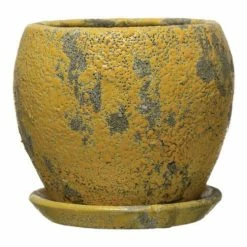 Buy 🔔 Vases & Pots Creative Co-Op Distressed Planter With Saucer 💯