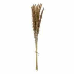 Best deal 🔥 Florals & Picks Creative Co-Op Dried Natural Fountain Grass Bunch ✨