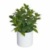 Best deal 🔥 Florals & Picks Allstate Floral 💄 Lipstick Vine Plant In Poly Resin Pot ✨
