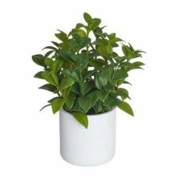 Best deal 🔥 Florals & Picks Allstate Floral 💄 Lipstick Vine Plant In Poly Resin Pot ✨