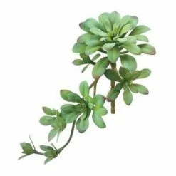 Deals 🔥 Florals & Picks Allstate Floral Soft Aeonium Pick ⌛