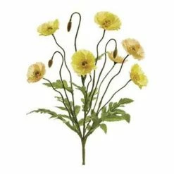 Flash Sale ⭐ Florals & Picks Allstate Floral Poppy Bush ⭐