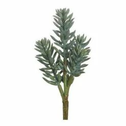 Best reviews of 🛒 Florals & Picks Allstate Floral Senecia Stem 🛒