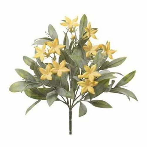 Cheap โค๏ธ Florals & Picks Allstate Floral Stephanotis Bush ๐ฅฐ