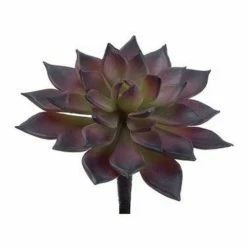 Best deal 🛒 Florals & Picks Allstate Floral Soft Touch Mini Echeveria Pick 🔥