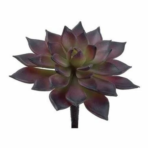 Best deal 🛒 Florals & Picks Allstate Floral Soft Touch Mini Echeveria Pick 🔥