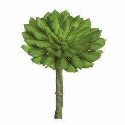 Promo 👍 Florals & Picks Allstate Floral Echeveria Pick 🔔