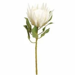 Top 10 ⭐ Florals & Picks Allstate Floral 29" White King Protea Stem 🔔