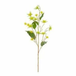 Buy 🛒 Florals & Picks Allstate Floral St. Johns Wort Stem 🔥